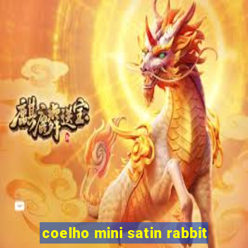 coelho mini satin rabbit